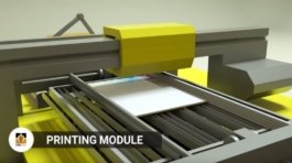 WhatsApp Image 2022-09-12 at 3.47.09 PM